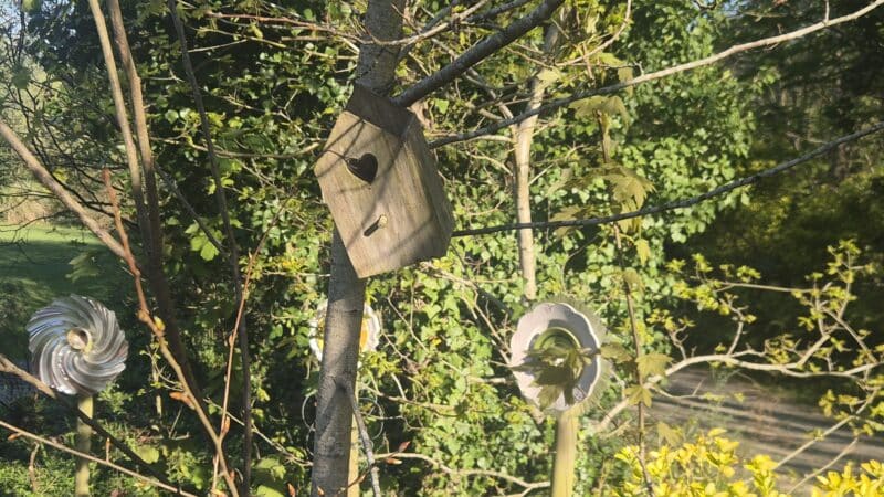 Ces modèles qui changent les regards #1