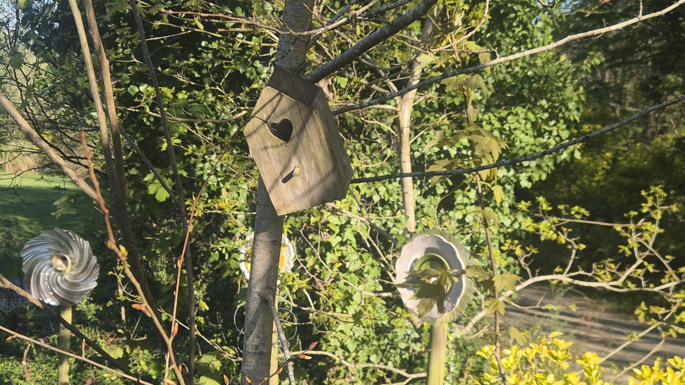 Lire la suite à propos de l’article Ces modèles qui changent les regards #1